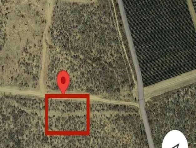 WhatsApp Image 2025-04-29 at 3.58.26 PM (2)