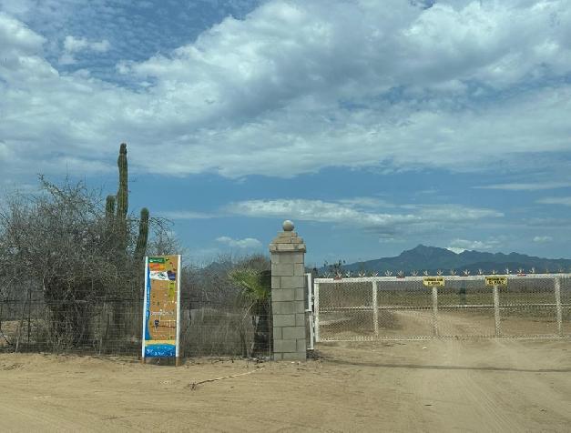 WhatsApp Image 2025-04-29 at 3.58.26 PM (4)