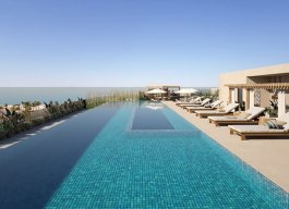 4304a4_ec88ee9728034b859695904d24e1aa19~mv2